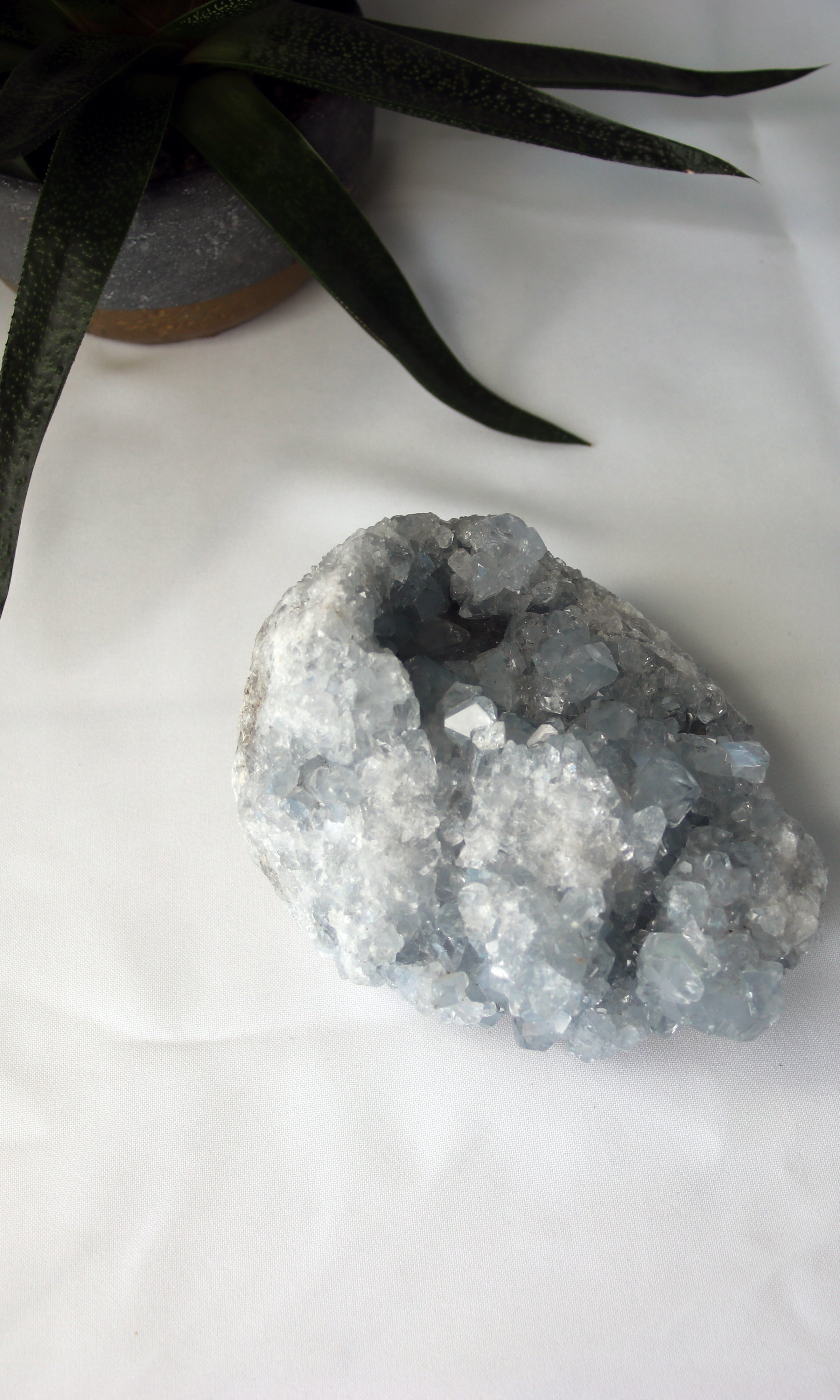 Celestite Geode